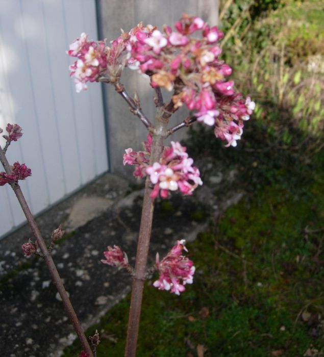 dscn0254.JPG